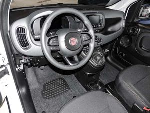 Fiat Panda Mild Hybrid City Paket  Gelato Weiß