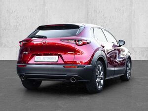 Mazda CX-30 Selection AWD 2.0 SKYACTIV-X M Hybrid EU6d Navi Le