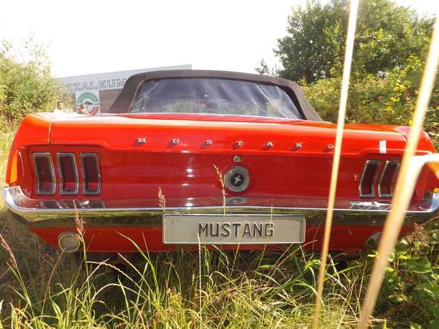 Ford Mustang Cabriolet, so wie es sein sollte!