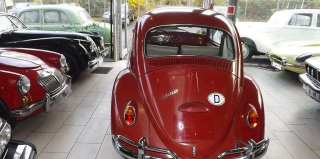 VW Käfer -  (Adoptivfamilie dringend gesucht)