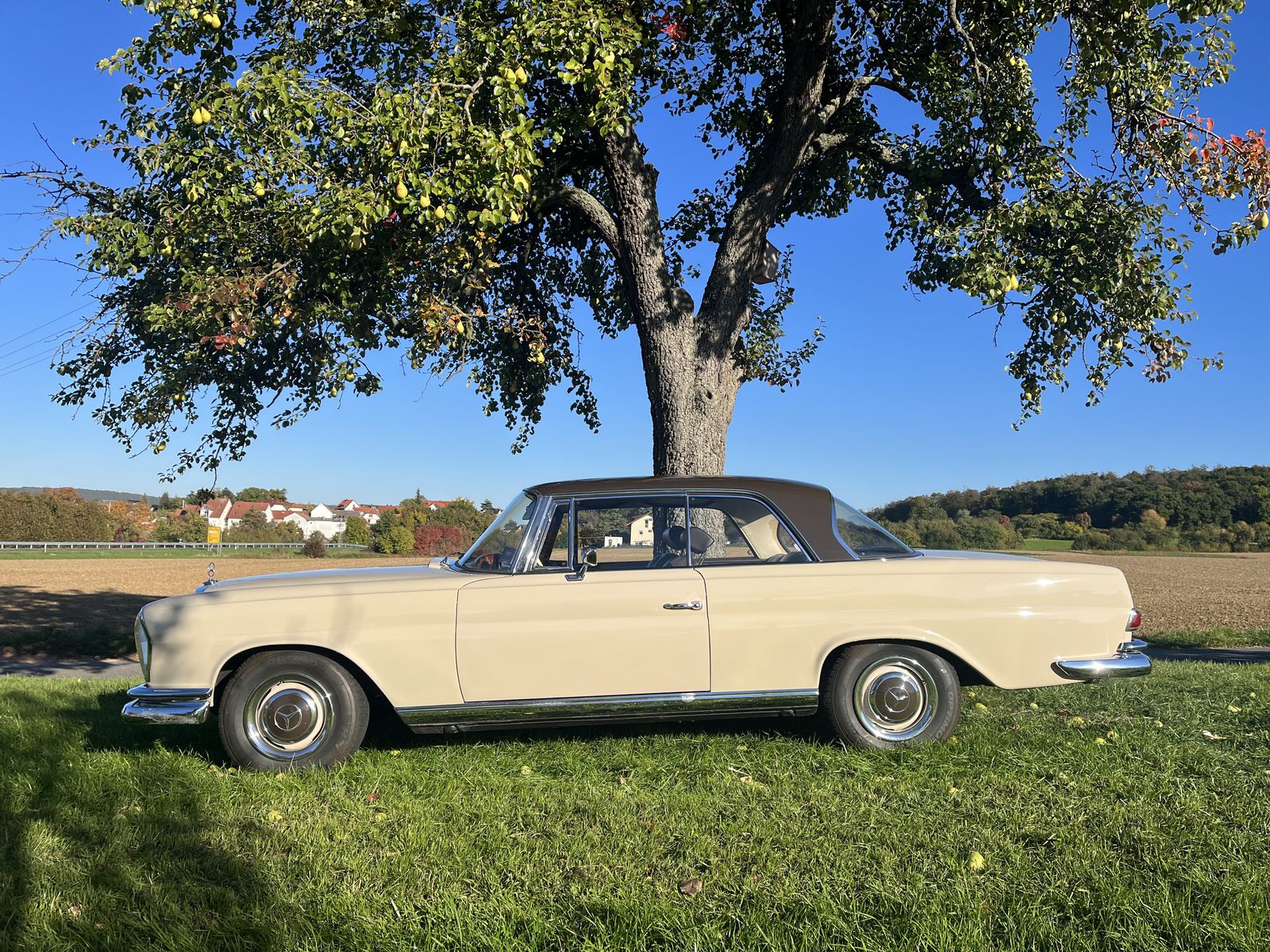 Mercedes Benz 220 00 0 F r59800 Zu Verkaufen Motor Klassik mercedes-benz-220-00-0-f-r59800-zu-verkaufen-motor-klassik