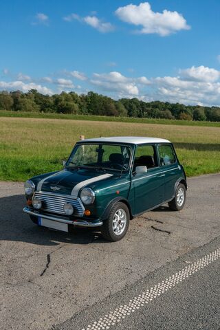 Mini Mini