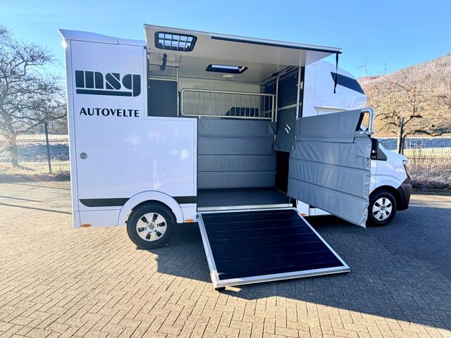 RENAULT Master Pferdetransporter MSG Ansicht 12 für Fahrzeugdetailseite