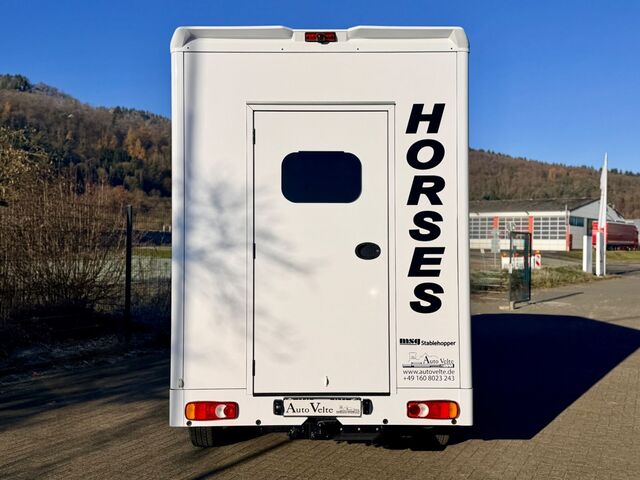 RENAULT Master Pferdetransporter MSG Ansicht 5 für Fahrzeugdetailseite