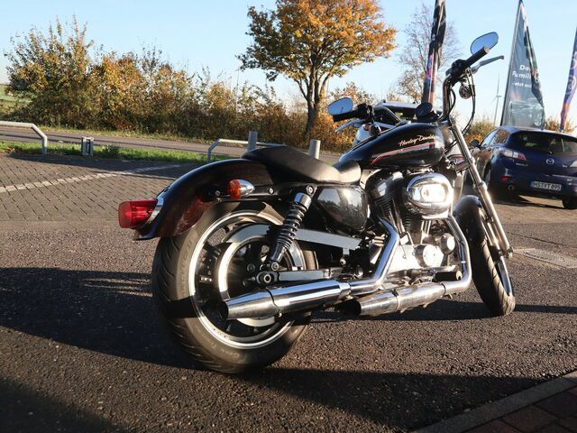 HARLEY-DAVIDSON Sportster XL / XR SPORTSTER 883 LOW... Ansicht 8 für Fahrzeugdetailseite