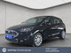 Ford im Gebrauchtwagen-Automarkt