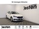 Skoda im Gebrauchtwagen-Automarkt