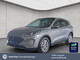 Ford im Gebrauchtwagen-Automarkt