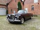 Bentley im Gebrauchtwagen-Automarkt