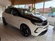 Opel im Gebrauchtwagen-Automarkt