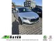 Skoda im Gebrauchtwagen-Automarkt