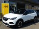Opel im Gebrauchtwagen-Automarkt