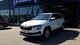 Skoda im Gebrauchtwagen-Automarkt