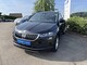 Skoda im Gebrauchtwagen-Automarkt